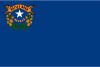 Nevada Bandeira